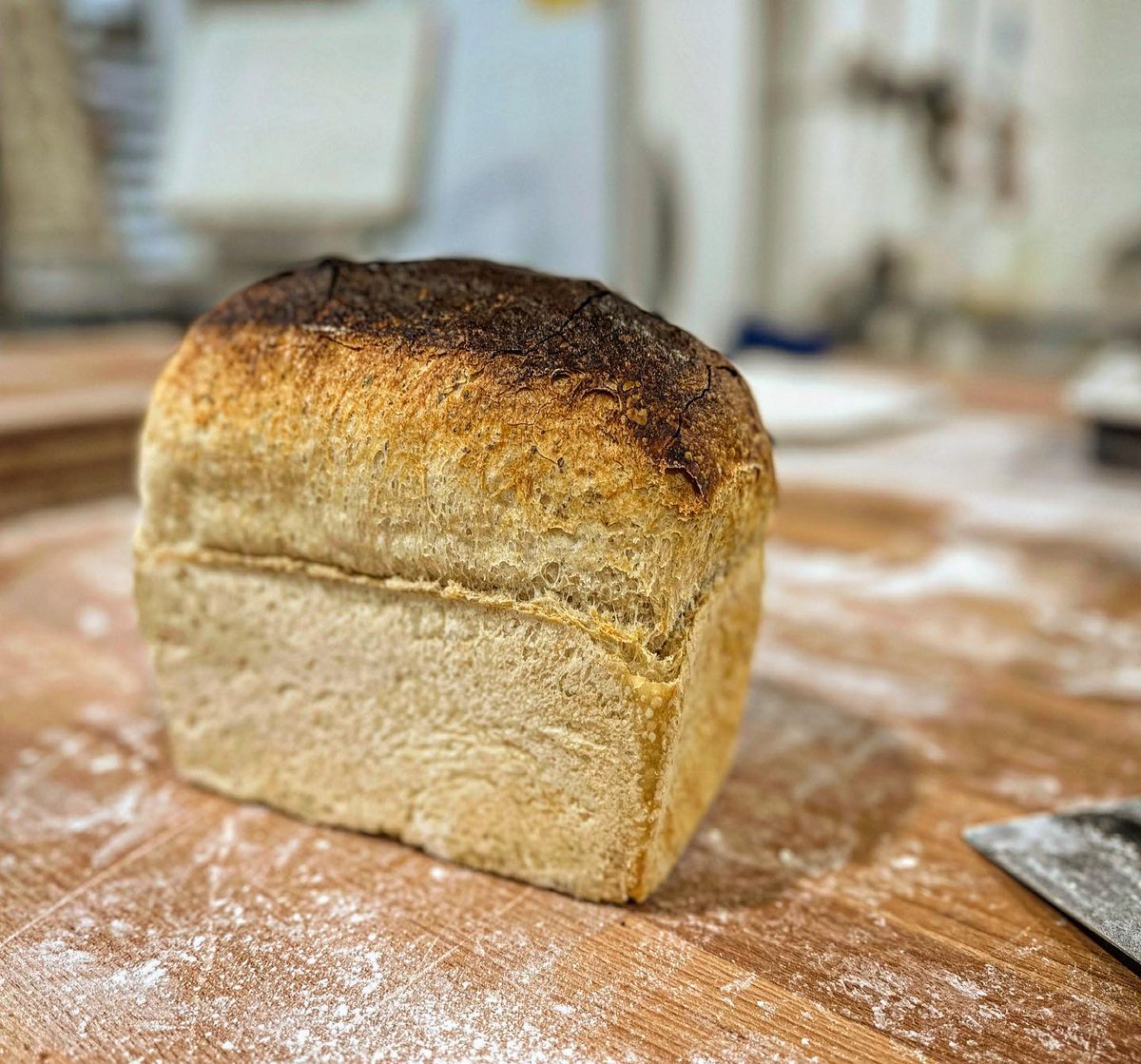 Wholegrain, heritage, ancient wheat, land race, local, organic BLAH BLAH BLAH 

No, it’s a classic white tin loaf: roller milled white flour, water, salt, yeast and about 48 hours production time. It tastes bloody marvellous 🤩 

#tinloaf