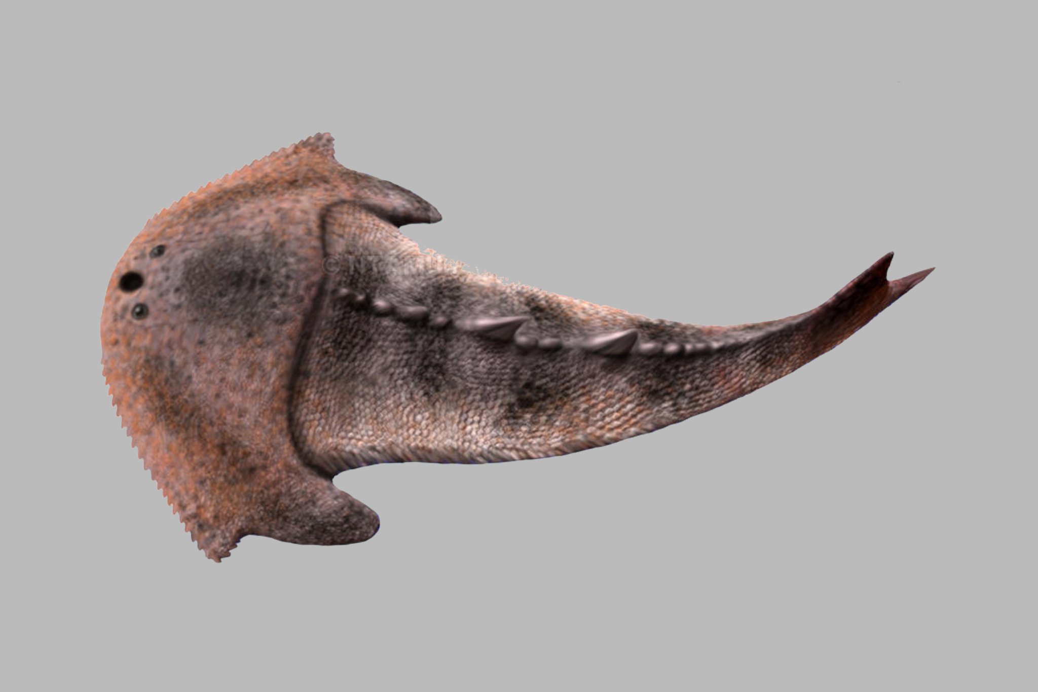 𝔽𝕦𝕞𝕚𝕗𝕦𝕞𝕚(2018～2023) on Twitter 