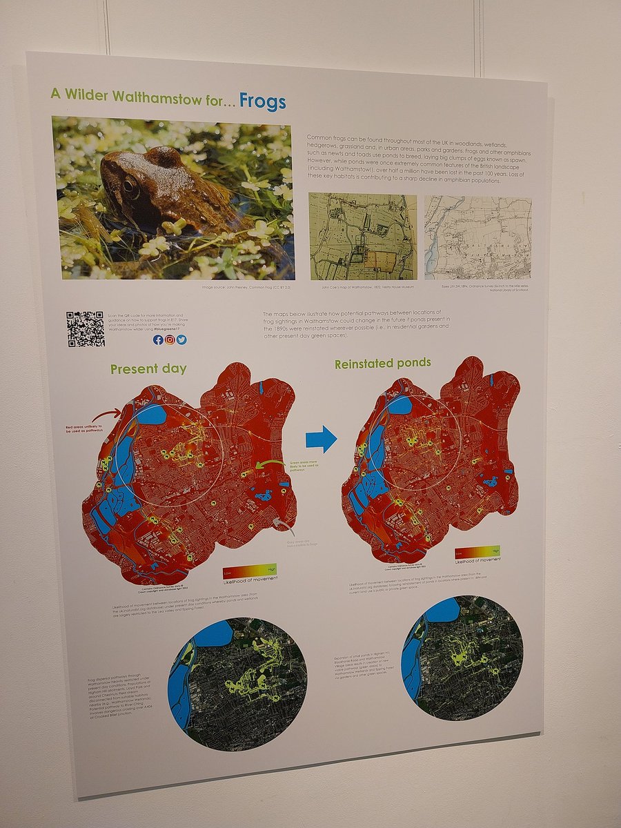 Gr8 to pop to @bluegreenE17 Exhibition in #WinnsGalleryE17 yesterday & briefly take part in a workshop. Lots of thought provoking ideas on what we need to do & can do to support #biodiversity in @wfcouncil. Thank you! @bluegreenE17! @WeSupportWFMH @healthy_hill @CoppermillGdns