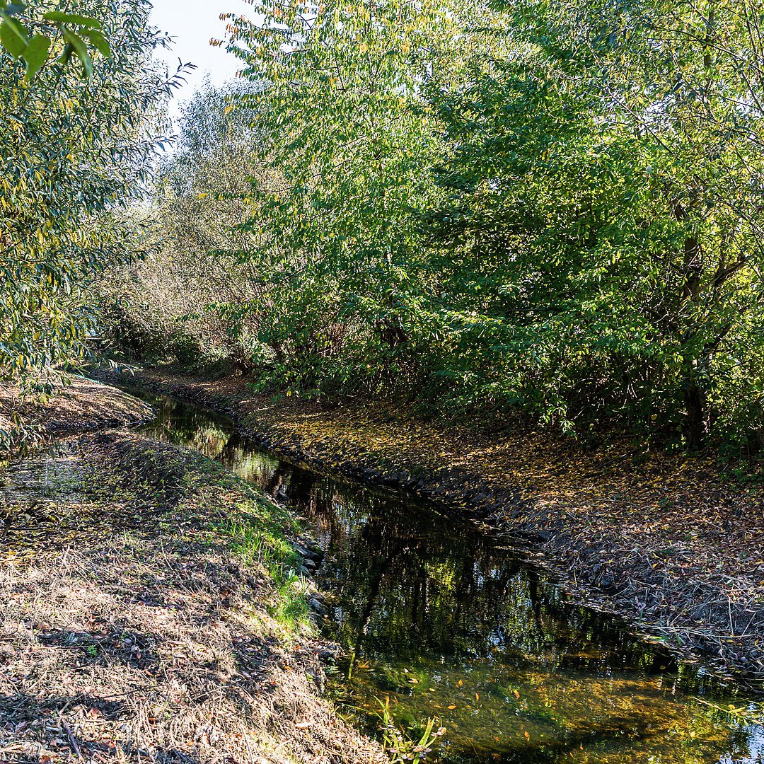 Extreme Trockenheit gefährdet die Kölner Gewässer.💧 Deshalb ist die Entnahme von Wasser bis mindestens Oktober untersagt.

Damit schützen wir den Lebensraum der im Wasser lebenden Tiere und Pflanzen. Alle Informationen ➡️ stadt-koeln.de/politik-und-ve…