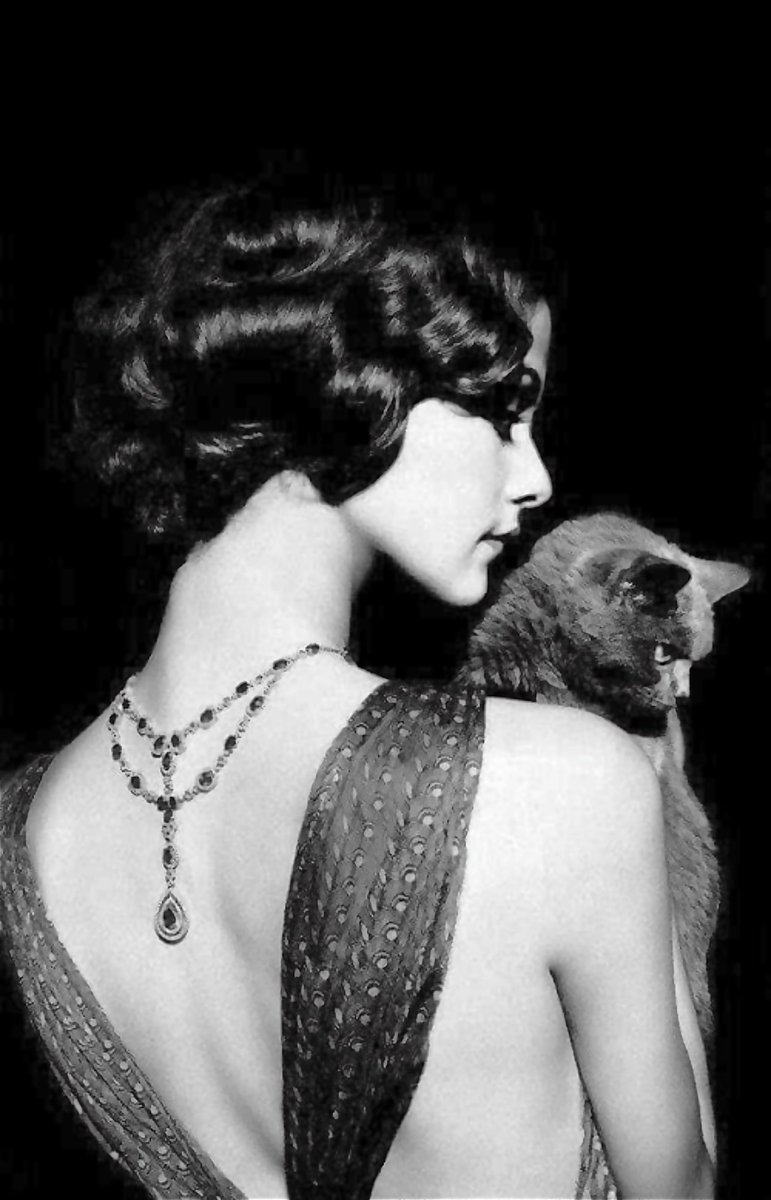 ＿＿＿＿＿＿＿＿＿＿＿
＿＿＿＿＿＿＿＿＿＿＿
◼️◻️ Cat has nine lives