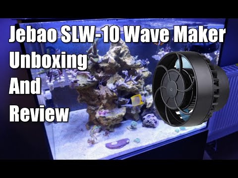 MarineFarmUK's tweet image. Jebao SLW-10 Wave Maker Unboxing and Review #corals #fishkeeping #fishtanks #jebao #jebaoslw10 #jebaoslw20wavemaker #JebaoSLW10Reveiw #jebaowavemaker #jebaowavemakerslw10 #Marineaquarium #reeftank #reeftankflow #SLW10 #sps #wavemaker
tinyurl.com/25ycaxex