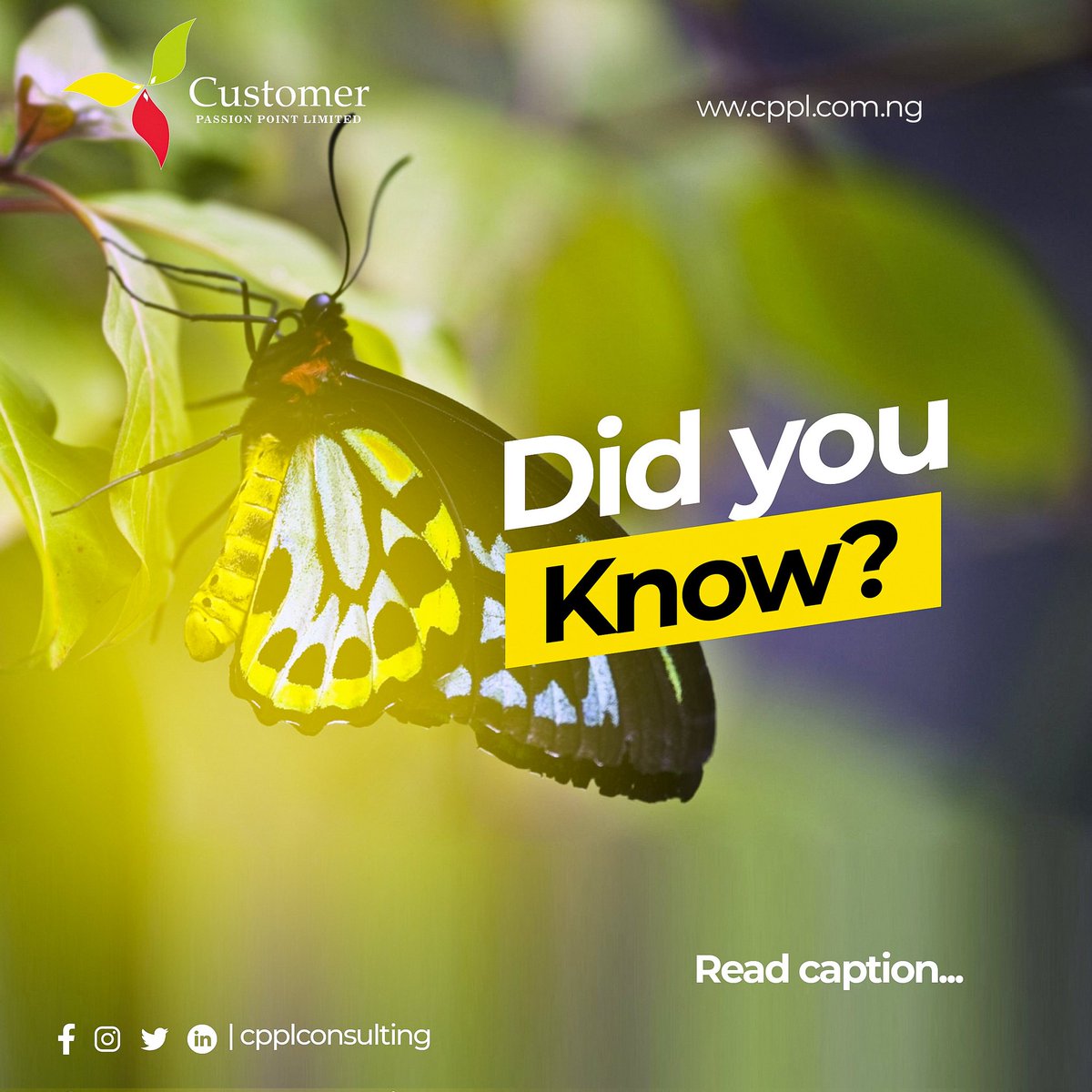 cppltraining's tweet image. That Nigeria is famous for it's beautiful and diverse butterflies. Nigeria has an exceptional biodiversity and boasts an abundance of fauna and flora. Presently, there are over 1000 documented species of butterflies.

#SaturdayThoughts #TrendingNow #cpplconsulting #Paris #nigeria