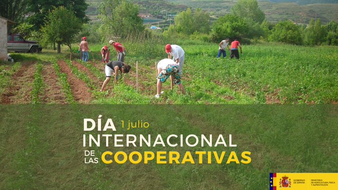 Día Internacional de las Cooperativas