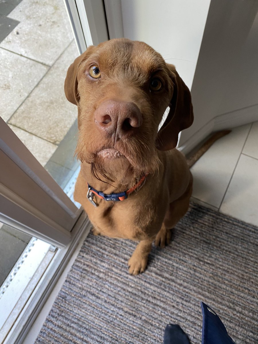 Rachel Westacott tweet media