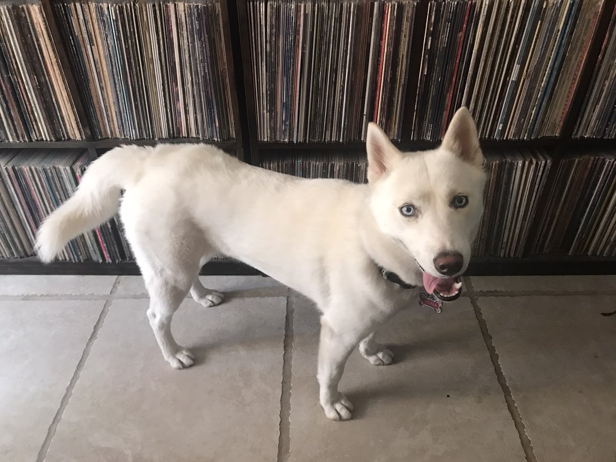 Benjamin Nevarez tweet media