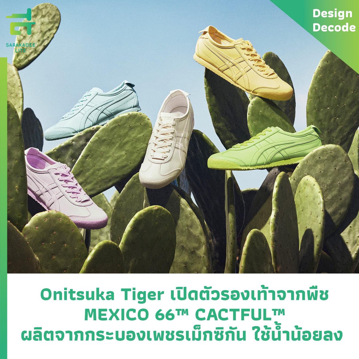Sarakadeelite's tweet image. สุดล้ำ! ล่าสุด #OnitsugaTiger เปิดตัวรองเท้าจากพืชในทะเลทรายเม็กซิโก ผลลัพธ์ออกมาเป็นรุ่น MAXICO 66 CACTFUL ที่ใช้วัสดุจากแคคตัสมากกว่า 20% ทั้งยังใช้น้ำในการผลิตน้อยลง ช่วยลดการปล่อยคาร์บอนในการผลิตได้ประมาณ 80% 
See more : bit.ly/3PFk5wa
#DesignDecode #สิ่งแวดล้อม