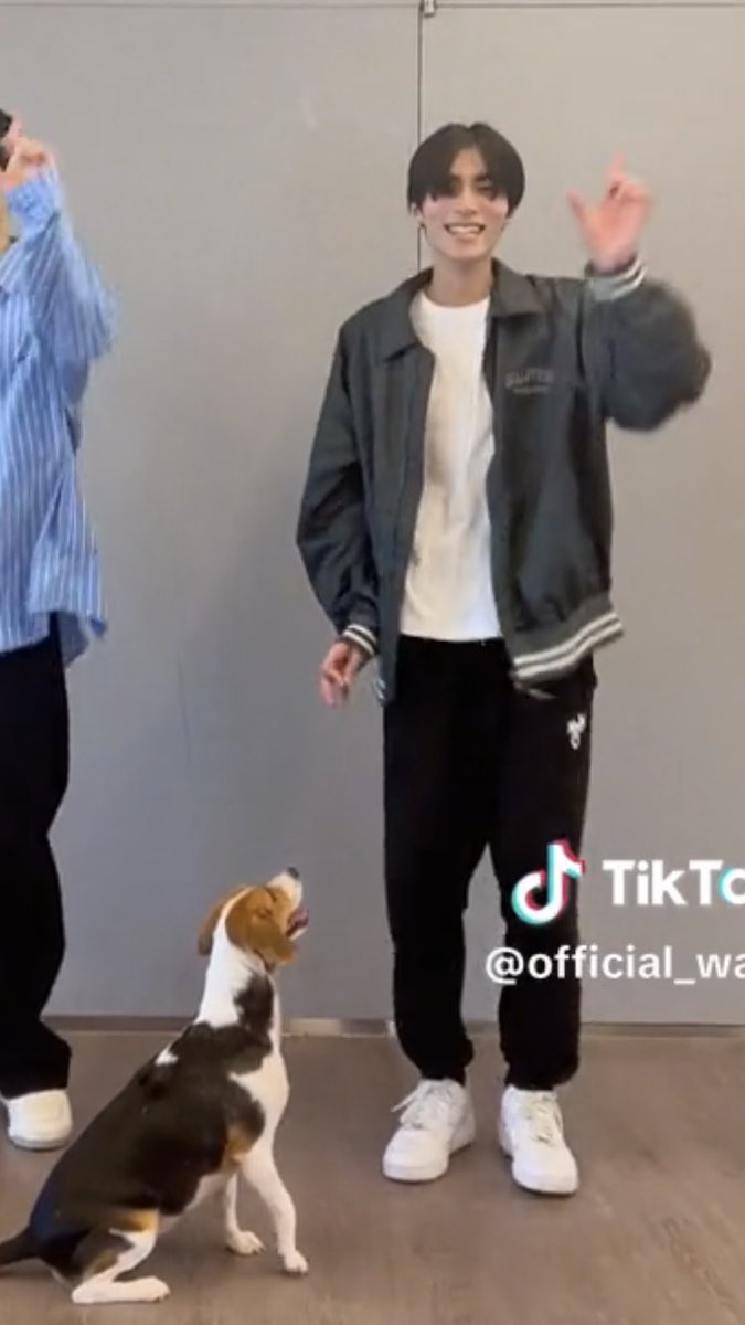 smoldejuns's tweet photo. I’M CRYING XIAOJUN’S HOLDING UP A TREAT TO KEEP BELLA IN FRAME 😭😭😭 https://t.co/AXfWKPT5Ok