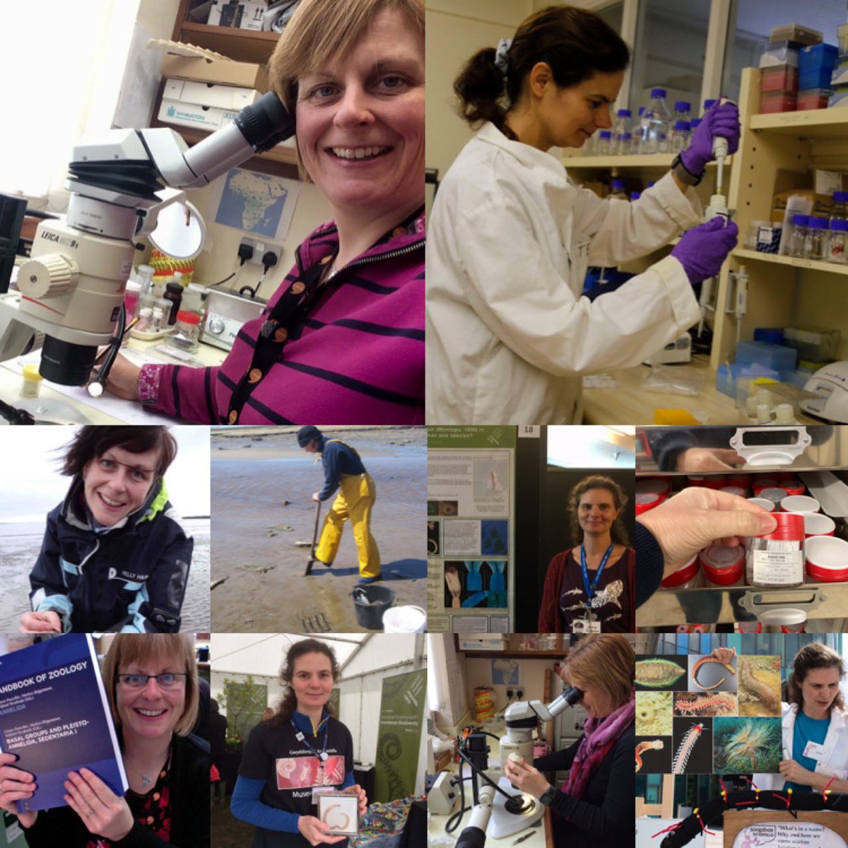 Cardiff Curator (@cardiffcurator) on Twitter photo DYK it’s International Polychaete Day today? Polychaetes, which are also known as marine bristleworms are vitally important for the health of our oceans. <a href="/AmgueddfaCymru/">Amgueddfa Cymru | Museum Wales</a> has two specialists who work on polychaetes, describing species new to science #PolychaeteDay #IPC14 DYK it’s International Polychaete Day today? Polychaetes, which are also known as marine bristleworms are vitally important for the health of our oceans. <a href="/AmgueddfaCymru/">Amgueddfa Cymru | Museum Wales</a> has two specialists who work on polychaetes, describing species new to science #PolychaeteDay #IPC14