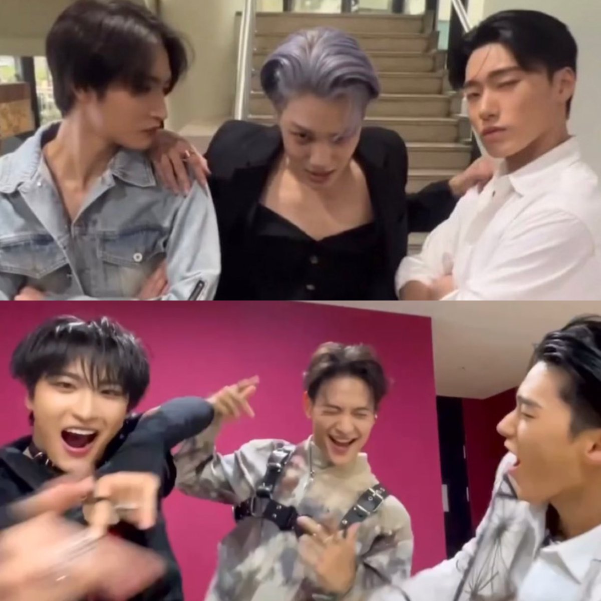 sankaissed's tweet photo. sanhwa being successful exols and shawols 😭 https://t.co/xKx4l2cUDb