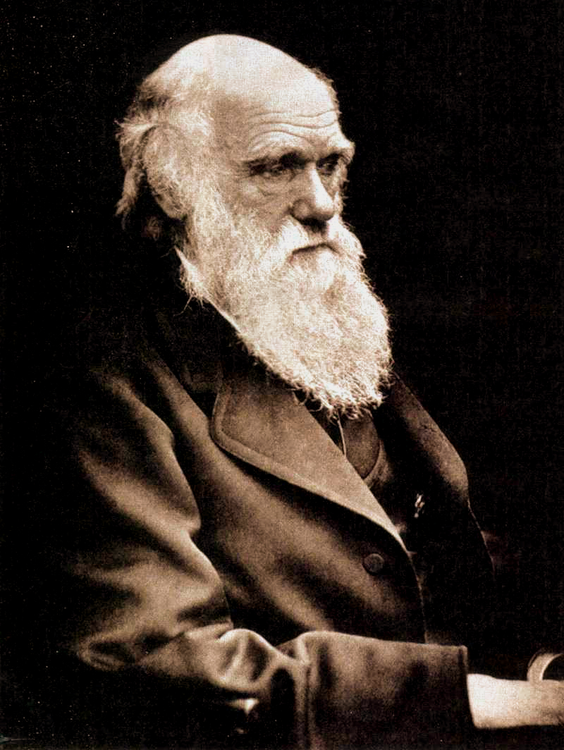 brionesci's tweet photo. Tal día como #hoy, en 1858, comenzamos a entender de dónde venimos.

La @LinneanSociety acogió la lectura de un artículo conjunto de Charles #Darwin y Alfred R. #Wallace sobre cómo la selección natural explica la evolución y la diversidad de las especies.

https://t.co/9BEH2mgGiC https://t.co/fbYxEVZGbK