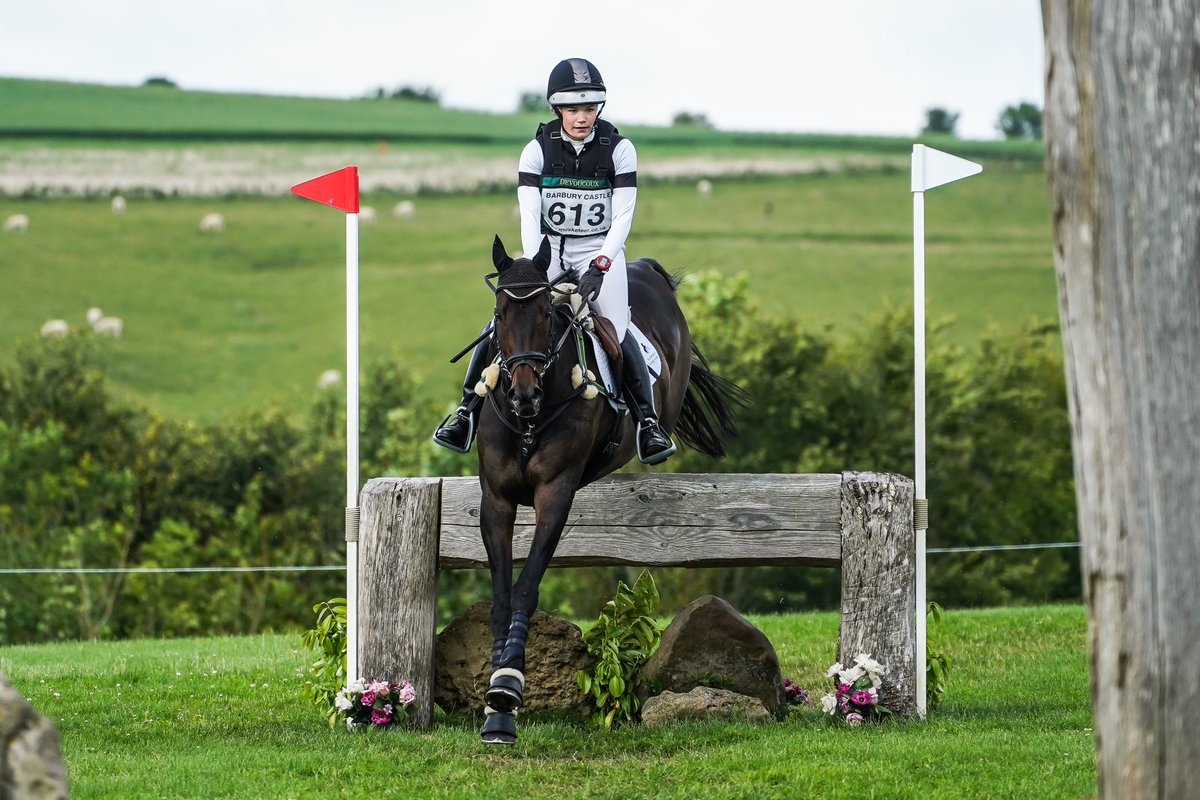 Horse Welfare Board tweet media