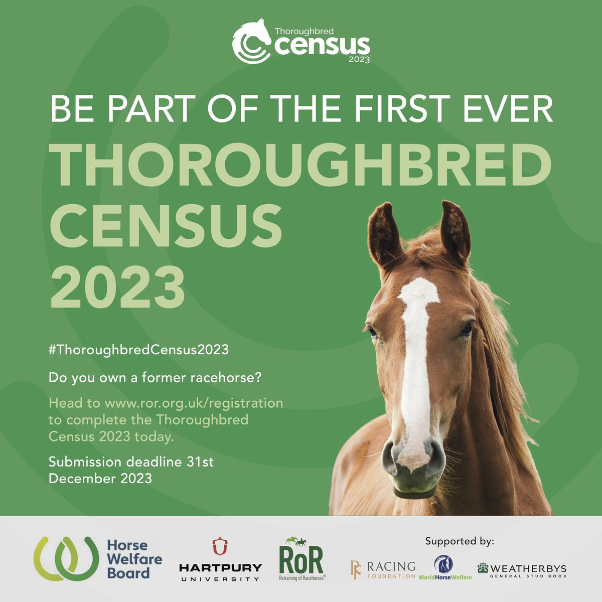 Horse Welfare Board tweet media