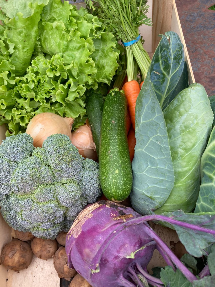 WHAT'S NO-PLASTIC AND PURE ?🥦🥕 - mailchi.mp/412aed49a1c9/n…