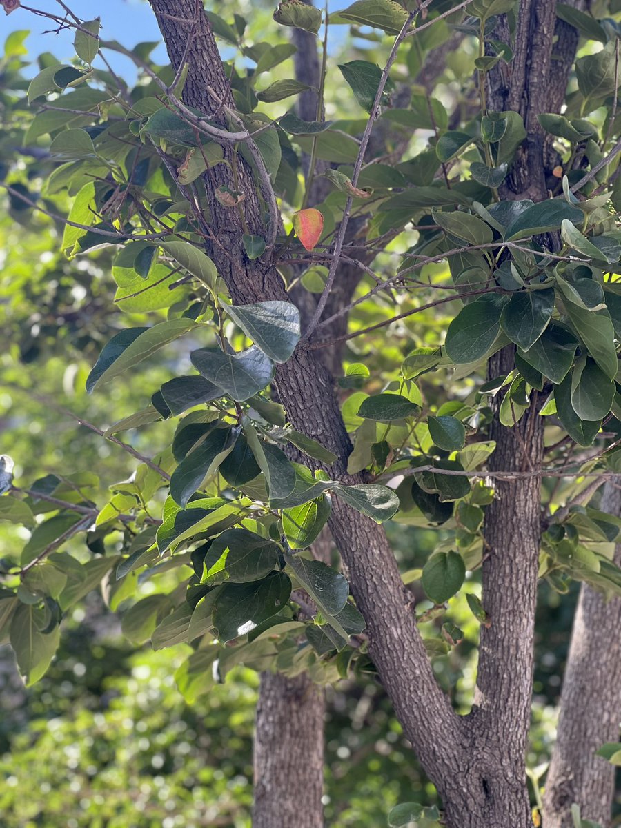 لا تهرب من الحقيقه بل واجها لتصبح اقواى من ذي قبل