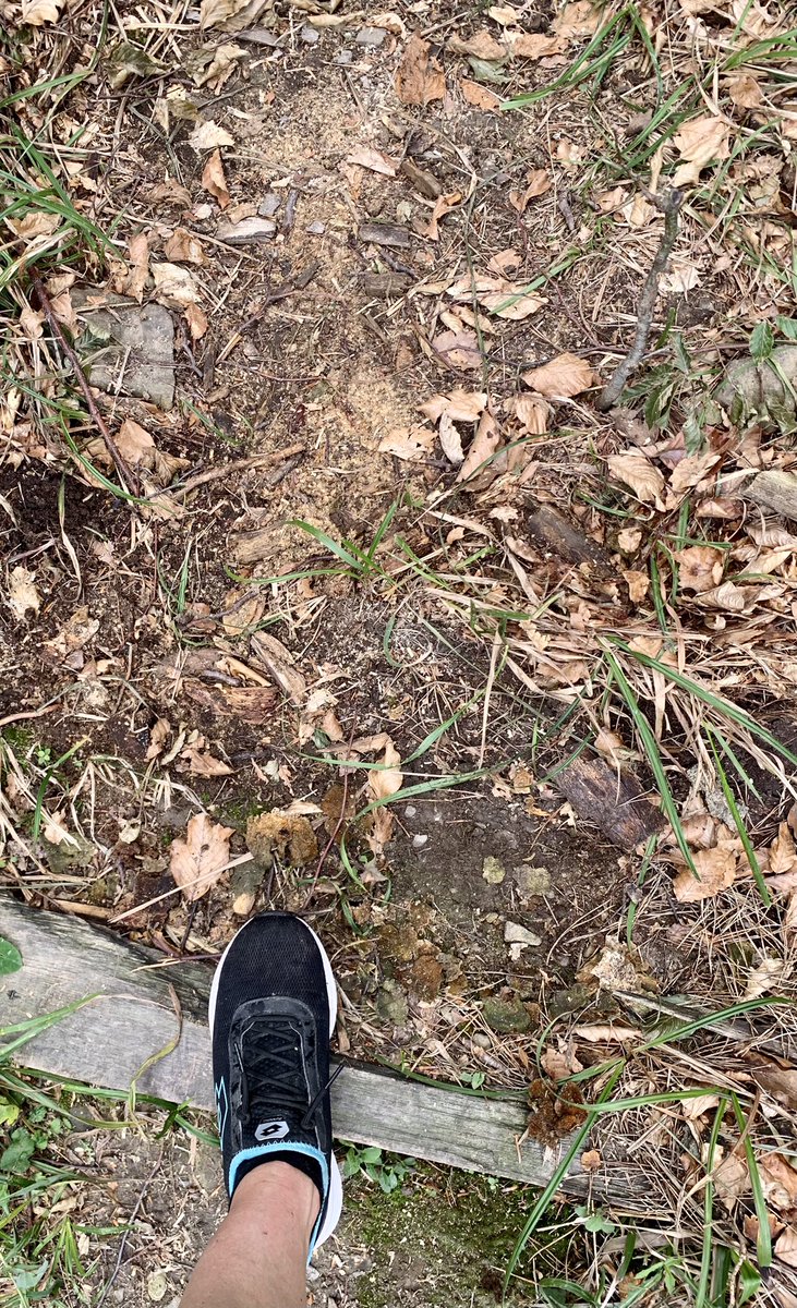 Spirelli79's tweet photo. #waldlauf #wienerwald #feelinggood #auspowern #postdienst
„Über Stock und über Stein“ https://t.co/dHzt9DnCN9
