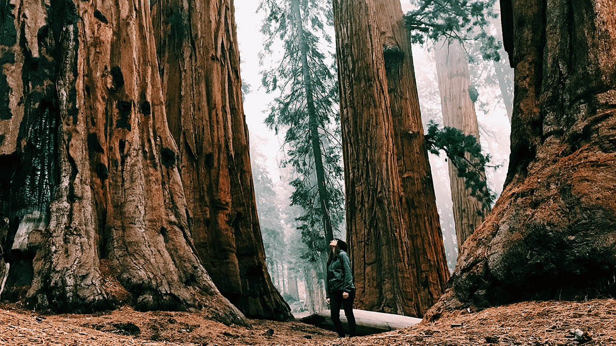 VCs and PEs have not lost faith in long-term commitment, but tech companies should differentiate buff.ly/3PE5KQA