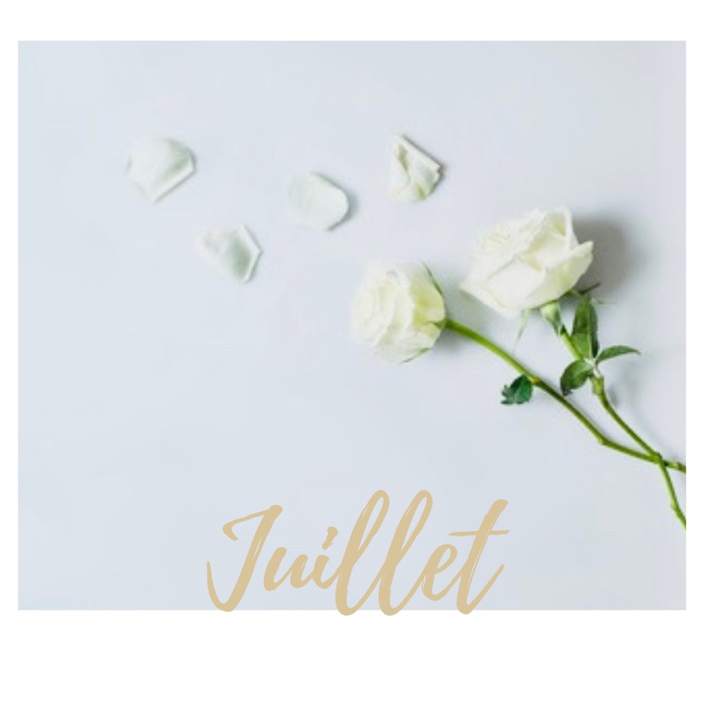 AudeHenneville's tweet photo. Joli mois de Juillet 🪷 https://t.co/QkRKbyowV6