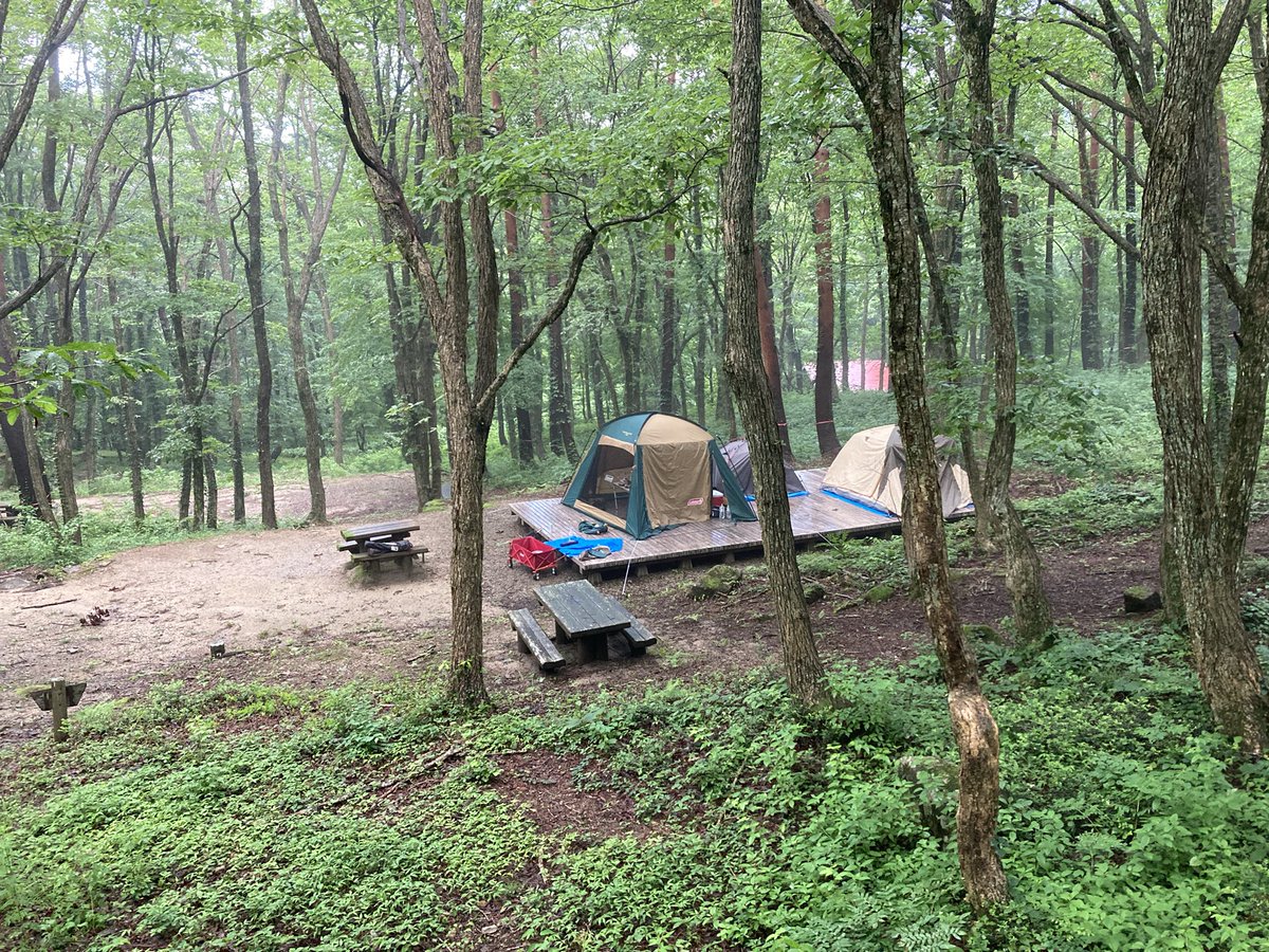 雨の中でテント建てるのしんどかったけど、その分嬉しい.ᐟ.ᐟ