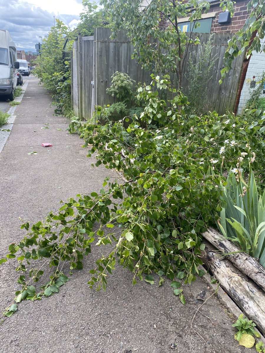 Fourth Reserve (@fourthreserve) on Twitter photo Eddystone pocket park being destroyed by vandals. Another tree killed last night - a silver birch - the 3rd tree & only have 1 left. Funded by community at start of 2019.Really really upset.<a href="/CroftonParkLife/">CROFTON PARK LIFE</a> <a href="/MPSCroftonPark/">Crofton Park Police</a> <a href="/nickbowes1975/">Nick Bowes</a> <a href="/JaneCanDoSE4/">Jane Martin 💙</a> Eddystone pocket park being destroyed by vandals. Another tree killed last night - a silver birch - the 3rd tree & only have 1 left. Funded by community at start of 2019.Really really upset.<a href="/CroftonParkLife/">CROFTON PARK LIFE</a> <a href="/MPSCroftonPark/">Crofton Park Police</a> <a href="/nickbowes1975/">Nick Bowes</a> <a href="/JaneCanDoSE4/">Jane Martin 💙</a>