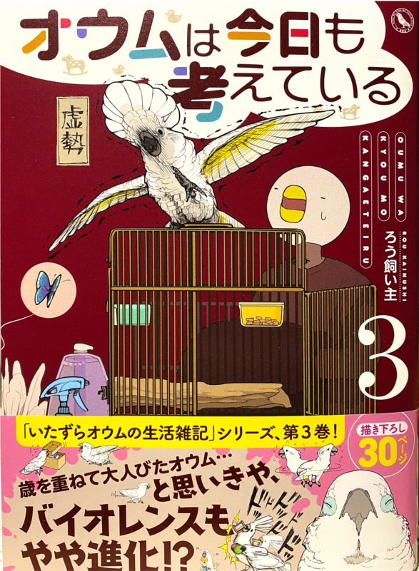 大型オウムのペット生活を漫画にした『オウムは今日も考えている』2巻、3巻発売中です!
描き下ろしもお楽しみに📚✨

アマゾン書籍リンク
https://t.co/ZRieWh19GM
ヨドバシ書籍リンク
https://t.co/yy2ZjnEuJI 