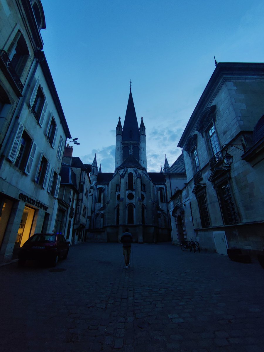 henlo, me and my bestie were in dijon and it was very pretty, nice bollards, we love pedestrianised city centres, big slay for sustainable mobility