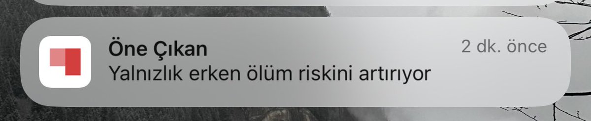 şimdi sıçtık