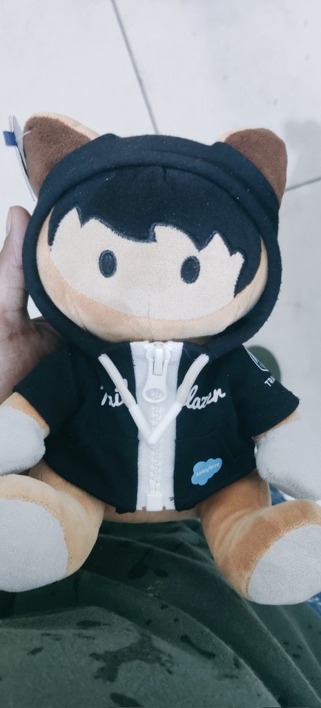 gauravp_singh's tweet photo. @SalesforceAdmns Definitely with Astro!
#WhereisAstro https://t.co/Yf5Fr9Ojwm