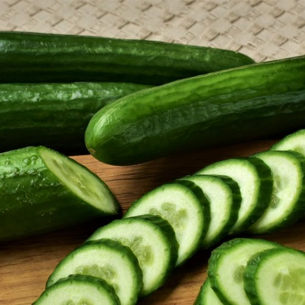 DutchBeginners's tweet photo. Today it is the Dag van de Komkommer - The day of the cucumber. What is your favourite vegetable called in Dutch?

De komkommer - The cucumber
De groente - The vegetable
Gezond - healthy

#learndutch #dutch #dutchlanguagecourses #learningdutch #nederlandsleren #dutchculture https://t.co/8NRxLbgFdh