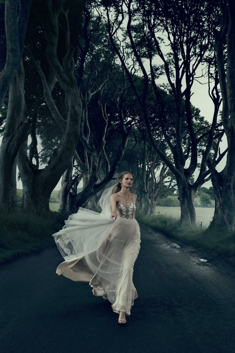 ✣ ωє∂∂ιиg, иαтυяαℓ тяєєѕ, иι¢є…тσ мιℓ ❤︎