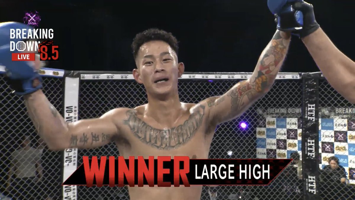 ／
BreakingDown8.5
1試合目結果速報📣
＼

#LARGEHIGH 選手(<a href="/largehigh_bh/">LARGE HIGH</a>) ○
🆚
#平石光一 選手(<a href="/hirasan666/">平石光一</a>) ×

#BreakingDown8_5
▼ 朝倉未来YouTubeから無料配信中
youtube.com/@mikuruasakura1