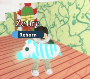 Neon Zebra giveaway

Rules: 
- Follow me 
- Like and Retweet 
- Reply 'Done!'  

• Extras • 
• Like or Retweet my Pinned Tweet 
• Tag 1 - 5 people. 
#AdoptMe #Roblox