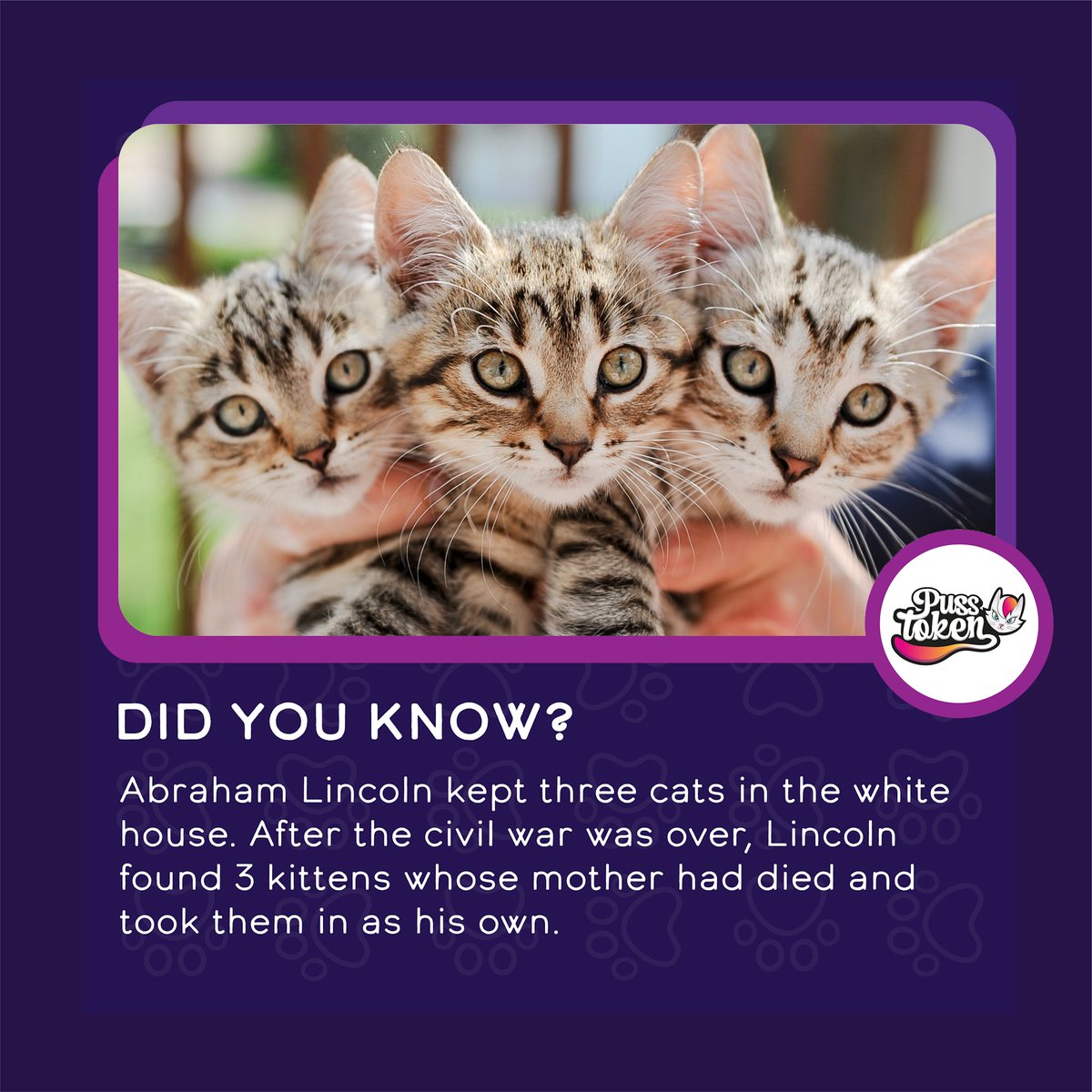 Even the President of the US loved cats! 🐈