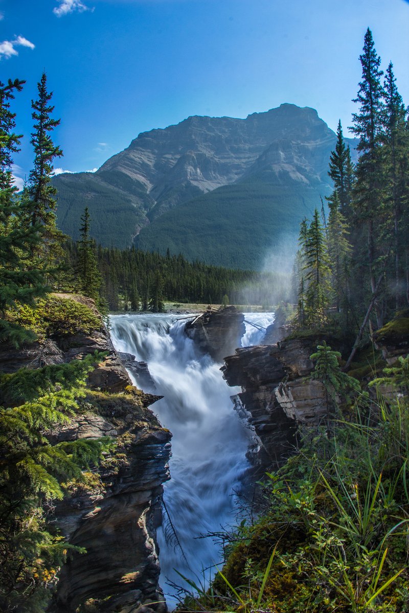 Happy #CanadaDay! 🇨🇦 We love how this holiday connects Canadians across the country and helps us learn about each other and our communities!🍁 Psst… If you haven’t heard admission 🎟 is free for all visitors today!