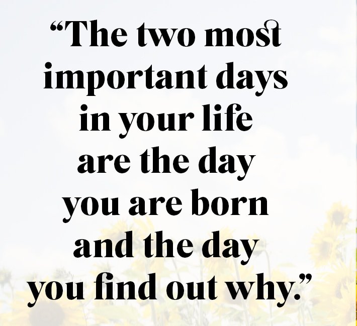EmmaBloorBooks's tweet photo. What a statement!
#borntowrite https://t.co/lIL3vFEmyZ