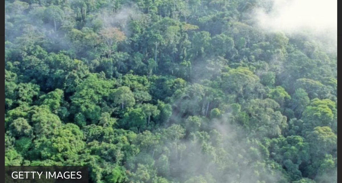 CarolineKende's tweet image. Africa’s vast forests are a vital
carbon sink, providing a global public good for which #Africa must secure a return to finance a fair transition. Climate change is humanity’s reminder that we share a single planet, a common destiny &amp;amp; responsibilities for future generations. 1/2
