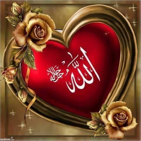 Shathi_Akter_'s tweet photo. Love this picture... 🥰🥰

#love 
#beautiful 
#Allah 
#lovepicture https://t.co/uPtc1GgBeL