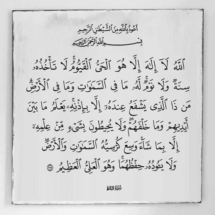 صدقة ل محمد طارق (@mohamedt2021) on Twitter photo 