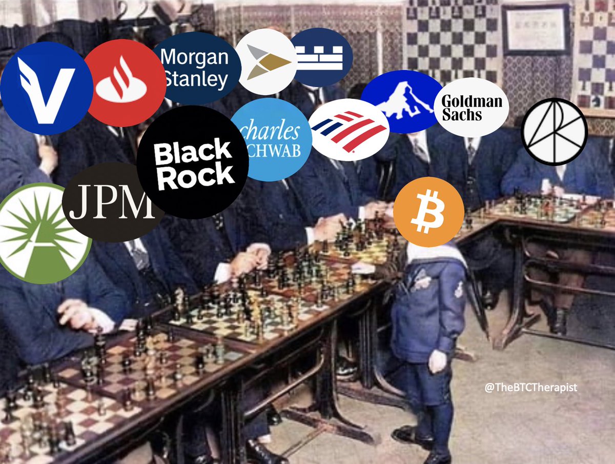 The ₿itcoin Therapist tweet media