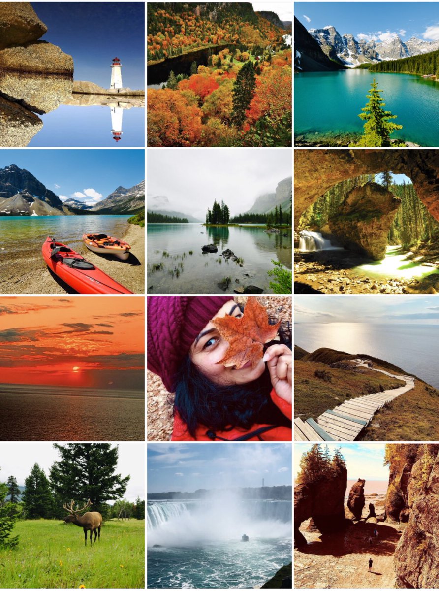 Mini 🌞🇨🇦 tweet media