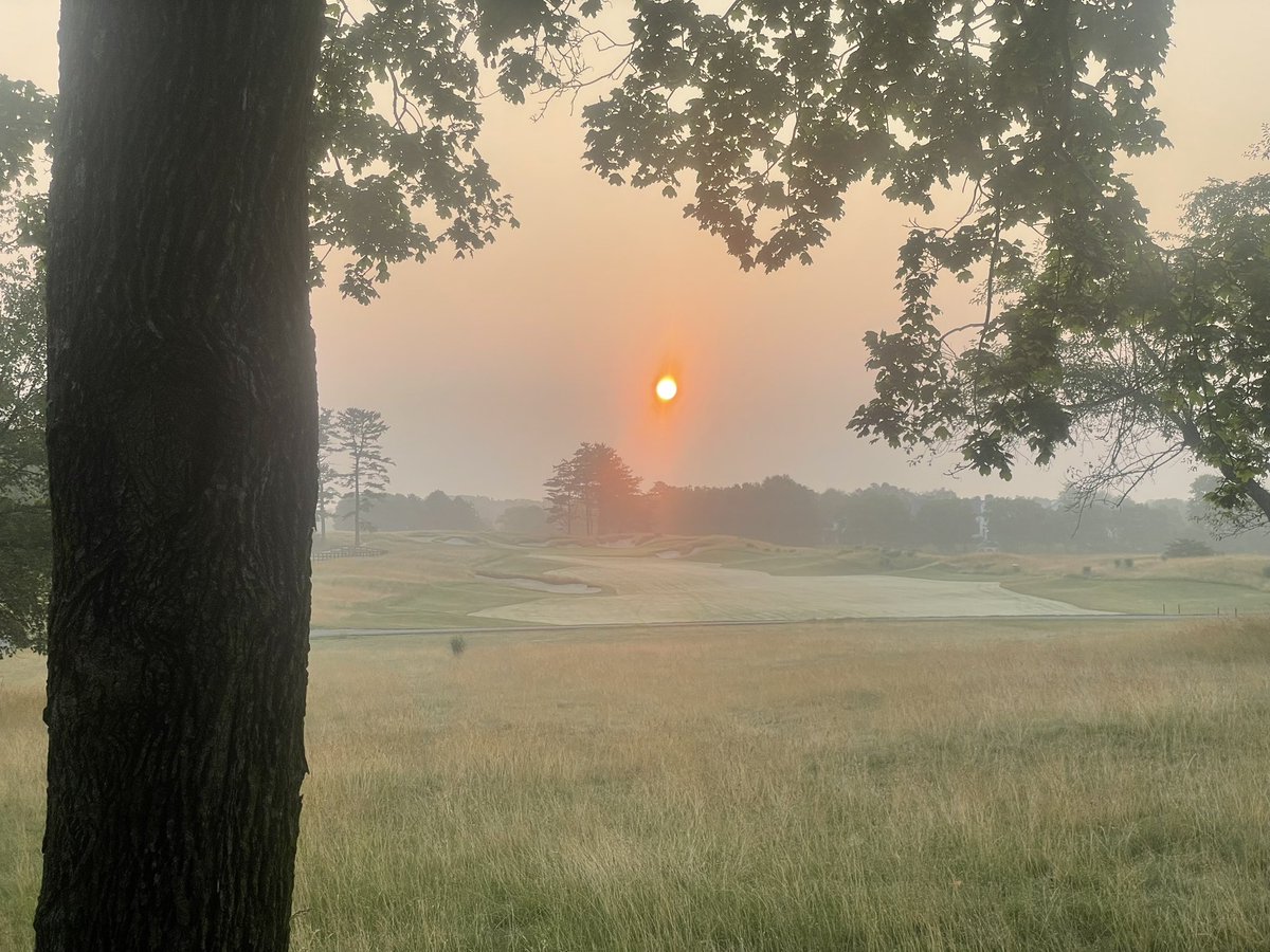 Patrick Husby tweet media