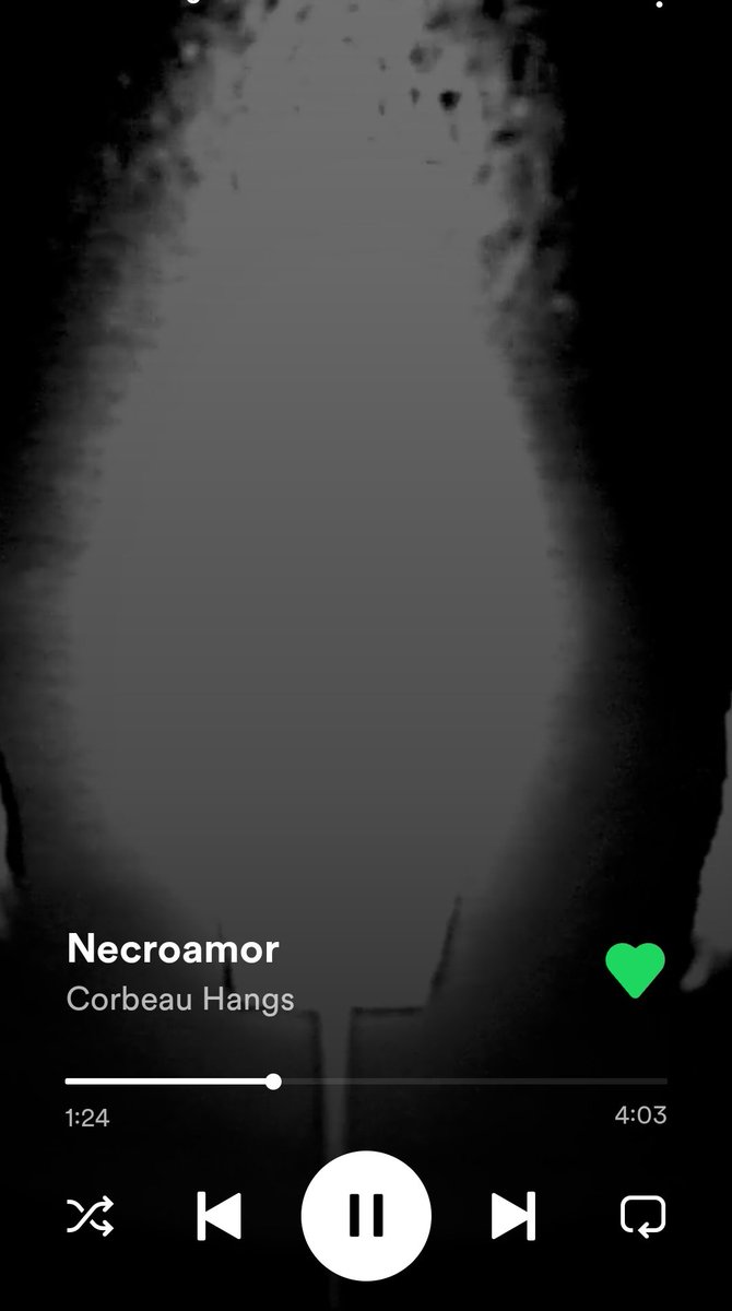 damien 🩸9️⃣ tweet media