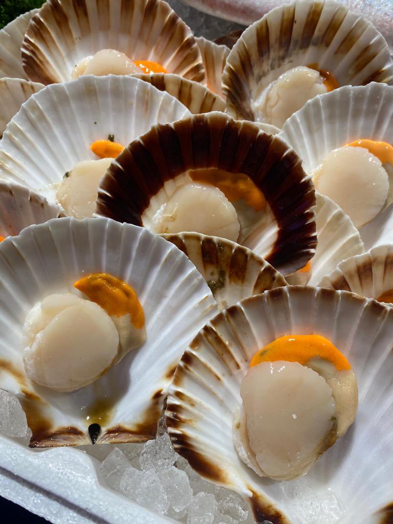 The lads have smashed it this Morning , put me to shame 
Great Variety landed in #M21
Chiperones 
Turbots
Half Shell Scallops
Dorada Rosa
From what pics they have sent it all looks fab