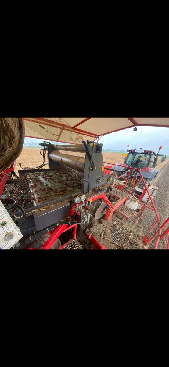 Jeroen de Jong (@jeroendeejong) on Twitter photo 