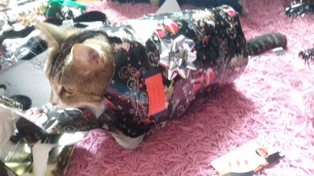 traverthegoat tweet media