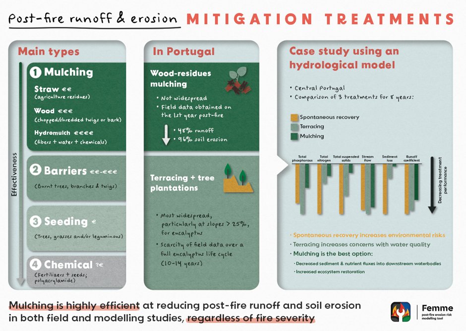 #DYK what choices do you have for #postfire #soil #erosion mitigation?

A #global #review &amp; #modelling study showed that #mulching is the most efficient technique against soil erosion after fire.
This and other infographics on the #FEMME femme.web.ua.pt

#RoadtoSoilLaw