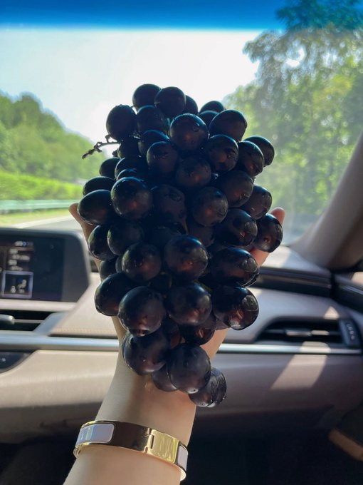 Life is short, Smile while you still have teeth