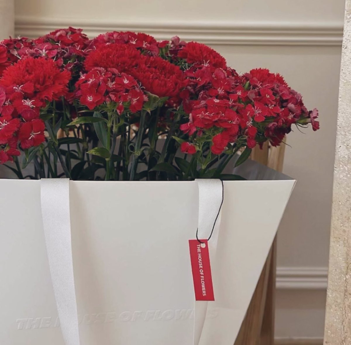 مساء | 💐💐💐
هل ؟ صليت الليلة على النبي الحبيب . •••