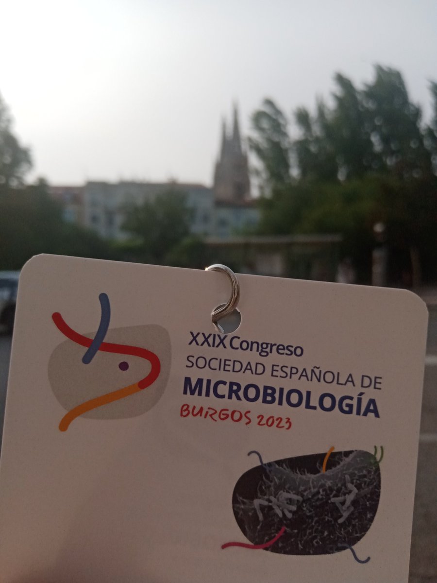 NanoGalenic's tweet photo. During this week, we had the privilege of attending the @SEMicrobiologia  Congress in Burgos. We delved ourselves into the fascinating world of microorganisms and gained extensive knowledge about human evolution at the extraordinary Atapuerca sites. https://t.co/e9Lbt5dl6X
