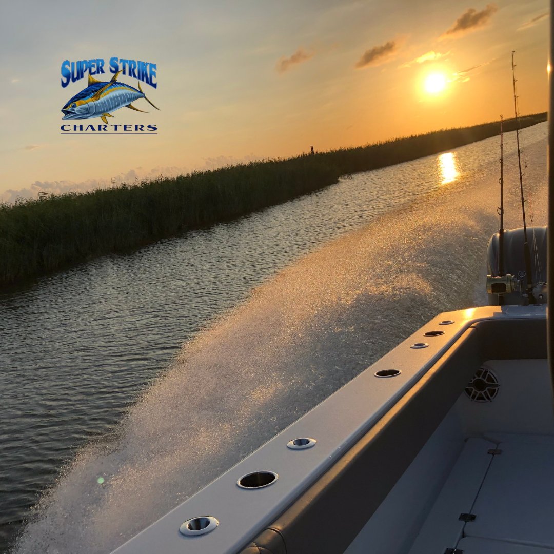 IT'S THE FREAKING WEEKEND! 😎 Rise and shine, Captain Bob says it's fishing time! 🎣

#fishing #Louisiana #Louisianafishing #tuna #gulfcoast #saltwaterfishing  #fishingcharter #summer #fish #superstrike #superstrikefishingcharter